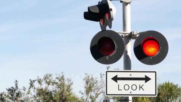 Segnale di avvertimento passaggio a livello negli Stati Uniti. Segnalazione trasversale e semaforo rosso sull'incrocio ferroviario in California. Simbolo di sicurezza del trasporto ferroviario. Segnale di prudenza sui binari pericolosi e ferroviari — Video Stock