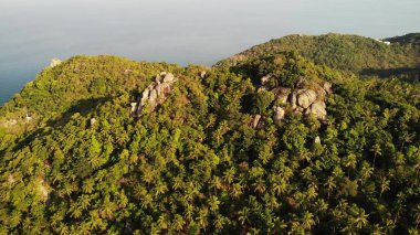 Tropik adanın ormanları ve dağları. Tayland 'ın güneşli bir gününde Koh Tao Adası' nın volkanik kayalık arazisindeki yeşil ormanların ve dev kayaların insansız hava aracı görüntüsü..