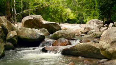 Dağ nehri yağmur ormanlarında akıyor. Bitmek bilmeyen meditasyon videoları, tropikal egzotik orman ormanlarında akış. Dereler taşların arasında, ormanın derinliklerinde akıyor. Şelale şelaleleri, yeşillikler ve ağaçlar. Kusursuz döngü