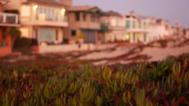 Kalifornie léto soumrak pláž estetický, růžový západ slunce nad pláží víkendové domy. Rozmazané rozostřené lidi chůze, nábřeží promenáda v Newportu, pacifické oceánské letovisko poblíž Los Angeles CA USA — Stock video