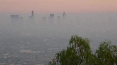 Los Angeles, Kaliforniya 'daki Metropolis' in en yüksek gökdelenleri. Hava toksik kirliliği ve sisli şehir merkezi silüeti. Kirli siste şehir manzarası. Ekoloji sorunları yüzünden şehirde görüş mesafesi düşük..