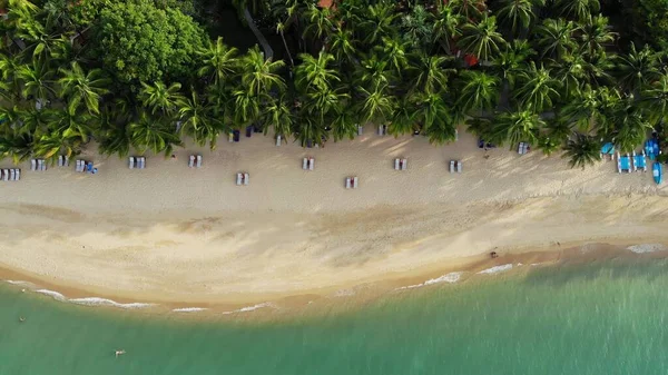 ヤシの木と青いラグーンと砂浜 ヤシの木と屋根のバンガローを持つ砂浜の青いラグーンとサンベッドの空中ビュー — ストック写真