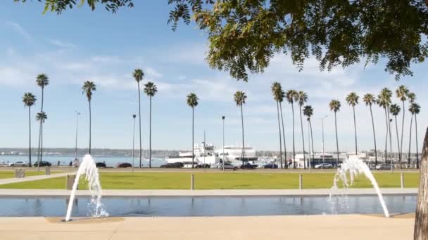 Fountain in waterfront city park near San Diego county civic center in downtown, California government authority, USA. Pacific ocean harbour, embarcadero in Gaslamp Quarter. Palms and grass near pier — Stock Video