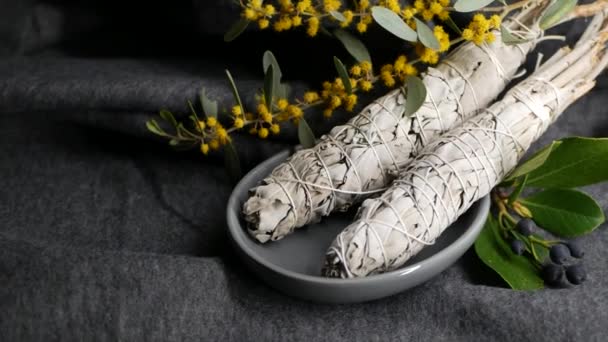 Torkad vit salvia pinne, avkoppling och aromaterapi. Smärta under psykisk ockult ceremoni, växtbaserade healing, yoga eller aura rengöring. Viktig rökelse för esoteriska ritualer och spådomar — Stockvideo