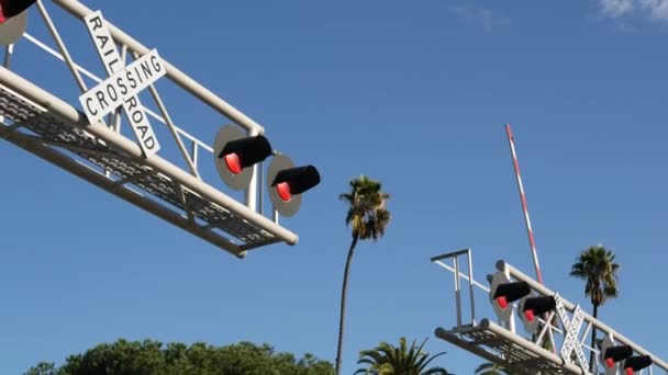 Предупреждающий сигнал пересечения уровня в США. Уведомление о перекрёстке и красный светофор на железнодорожном перекрестке в Калифорнии. Символ безопасности железнодорожного транспорта. Знак предосторожности об опасности и железнодорожных путях — стоковое видео