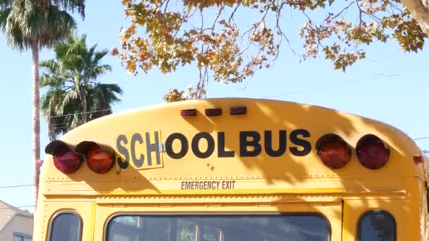 Los Angeles, Kaliforniya 'daki sarı ikonik okul otobüsü. Öğrenciler için klasik bir kamyonet. Çocuk taşımacılığının güvenliği için trafik ışıkları. Banliyödeki çocuklar için toplu yolcu taşımacılığı — Stok video