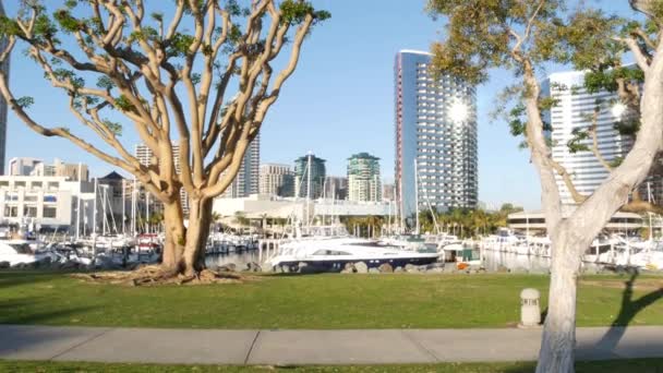 Embarcadero marina park, big coral trees near USS Midway and Convention Center, Seaport Village, San Diego, California USA. Luxury yachts and hotels, metropolis urban skyline and highrise skyscrapers — Stock Video