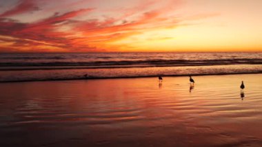 Kaliforniya yazları plaj estetiği, altın gün batımı. Pasifik okyanusu dalgaları üzerinde canlı dramatik bulutlar. Santa Monica popüler tatil köyü, Los Angeles CA USA. Los Angeles 'ta atmosferik karamsar, mor bir akşam güneşi.
