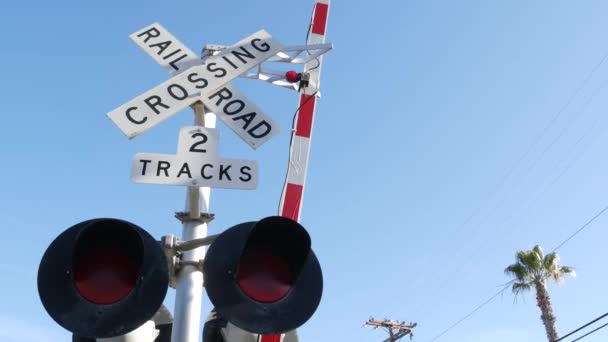 Level crossing warning signal in USA. Crossbuck notice and red traffic light on rail road intersection in California. Railway transportation safety symbol. Caution sign about hazard and train track — Stock Video