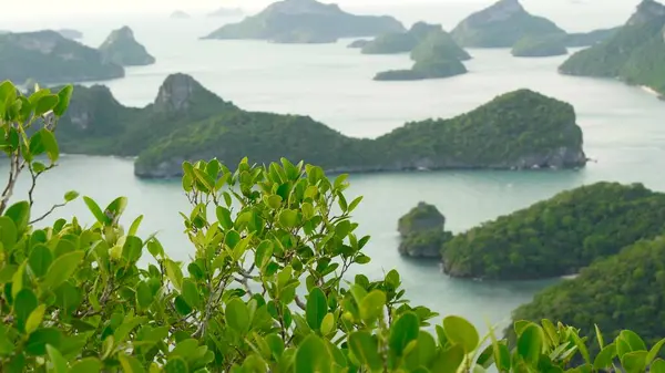 Ptačí Oko Panoramatický Letecký Pohled Ostrovy Oceánu Ang Thong Národního — Stock fotografie