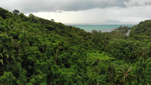 Elborult Trópusi Sziget Felett Szürke Felhős Zöld Tenyér Koh Samui — Stock Fotó
