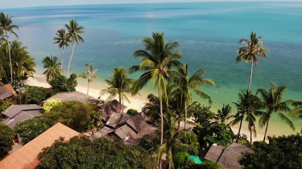 Palmen Strand Nahe Blauem Meer Drohnenblick Auf Tropische Kokospalmen Die — Stockfoto