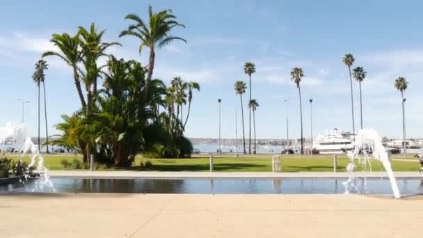 Fontein in het stadspark aan het water in de buurt van San Diego County civic center in het centrum, Californië overheid, Verenigde Staten. Stille Oceaan haven, embarcadero in Gaslamp Quarter. Palmen en gras bij de pier — Stockvideo