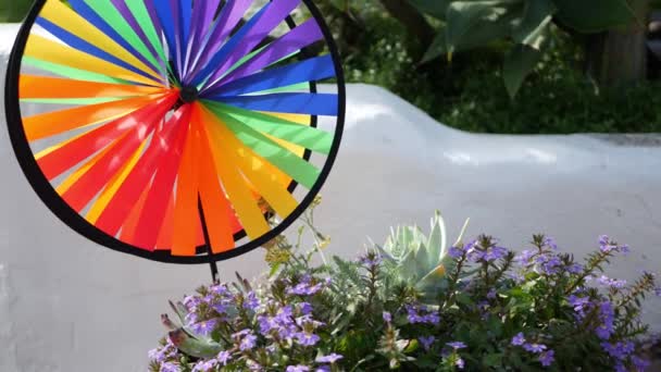 カラフルなピンホイールスピニング、天気風の羽根、米国の庭の装飾。子供の頃の虹のシンボル、ファンタジーと想像力の回転。複数の色のスパイラルおもちゃの風で回っている。夏の夢 — ストック動画