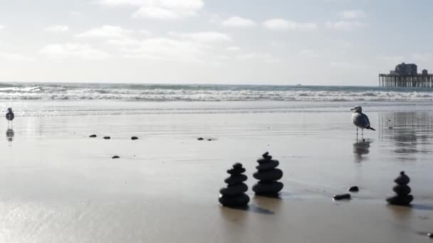 California verano playa estética, mar gaviota y Océano Pacífico olas de agua. Fondo natural tranquilo y onírico. Paisaje marino atmosférico y aves marinas. Costa de verano de los Estados Unidos, enfoque selectivo — Vídeo de stock