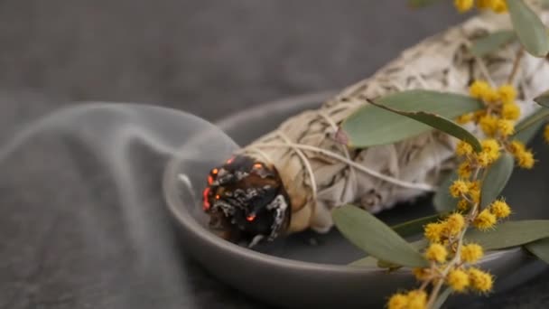 Gedroogde witte salie vlek stok, ontspanning en aromatherapie. Smudging tijdens psychische occulte ceremonie, kruiden heling, yoga of aura reiniging. Essentiële wierook voor esoterische rituelen en waarzeggerij — Stockvideo