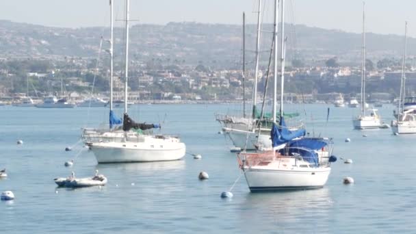 Newport Beach Harbor, víkend marina resort s jachtami a plachetnicemi, Pacific Coast, Kalifornie, USA. Luxusní předměstí Waterfront v Orange County. Drahá prázdninová destinace na pláži — Stock video