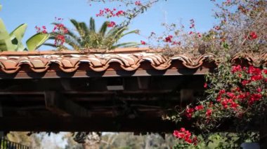 Meksika sömürgesi tarzı banliyö, İspanyol evi dışı, yeşil yemyeşil yemyeşil bahçe, San Diego, Kaliforniya ABD. Akdeniz terasotta seramik kil kiremit çatıda. Kırsal ispanyolca döşeli çatı. Kırsal ayrıntı