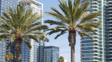 Metropolis şehir silueti, San Diego şehir merkezi, Kaliforniya, ABD. Finans bölgesindeki gökdelenler ön cephede. Çağdaş mimari, gelecekçi modern iş kuleleri Amerika 'da.