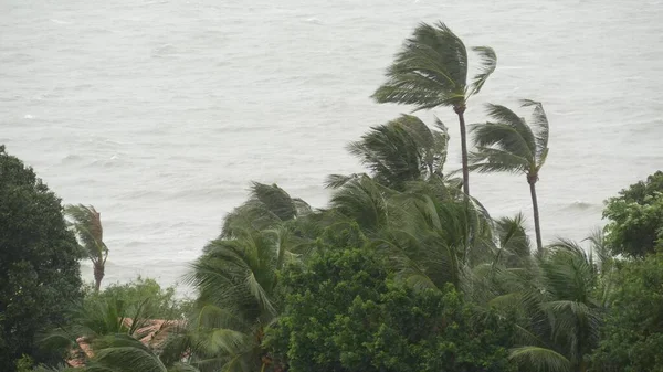 Tajfun Pabuk Wybrzeże Oceanu Tajlandii Katastrofa Naturalna Huragan Silny Wiatr — Zdjęcie stockowe