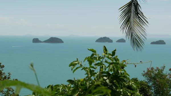 Cinco Islas Hermanas Una Superficie Agua Serena Encantador Paisaje Vegetación —  Fotos de Stock