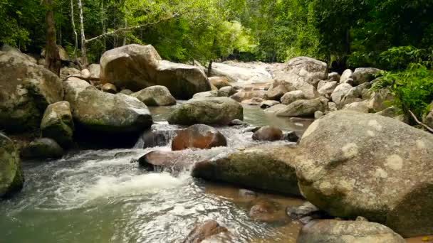 Mountain river flowing in rainforest. Endless meditative video, stream in tropical exotic jungle forest. Creek flow in deep wood among stones. Cascades of waterfall, greenery and trees. Seamless loop — Stock Video