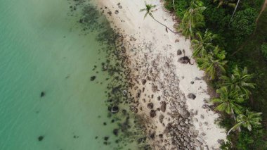 Denize yakın tropik plajlarda taşlar. Kumsalda, Koh Samui, Tayland 'da yeşil palmiyeler ve mavi deniz suyunun yakınındaki engebeli kayalardan. Rüya sahili drone görüntüsü. Rahatlayın ve tatil konsepti