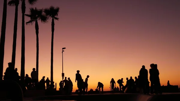 Silhuett Unga Hoppa Skateboardåkare Ridning Longboard Sommar Solnedgång Bakgrund Venice — Stockfoto