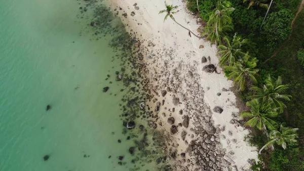 海の近くの熱帯ビーチの石 緑のヤシの近くの砂浜とタイのサムイ島の青い海の水に位置するラフ岩の上から 夢のビーチドローンビュー リラックスして休暇のコンセプト — ストック写真