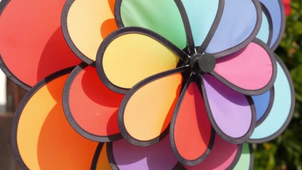 Bunte Windraddrehung, Wetterfahne, Gartendekoration in den USA. Regenbogen-Symbol für Kindheit, Fantasie und Fantasie rotieren. Buntes Spiralspielzeug, das sich in Windeseile dreht. Sommerträume — Stockvideo