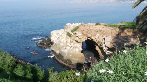 Z mořské jeskyně v La Jolla Cove. Bujné listí a pískovcová jeskyně. Skála v zámořské laguně, vlny blízko strmého útesu. Oblíbená turistická památka, přírodní oblouk v San Diegu, California, USA — Stock video