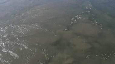 Kirli su akıntısı, tehlikeli girdap. Çevresel kirliliğin ve küresel zehirli ekolojik kirliliğin sembolü olarak kanalizasyon, çamurlu akış. Gezegendeki ekosistem krizi ve sel felaketi