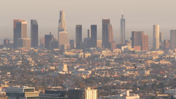 米国カリフォルニア州ロサンゼルスのスモッグにある高層ビル群。大気汚染と霧の都会のダウンタウンのスカイライン。汚れた霧の中の街の風景。生態学的問題のある都市での視認性が低い — ストック動画