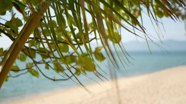 Tropischer Sandstrand Der Paradiesischen Insel Grünes Palmblatt Mit Blick Auf — Stockfoto