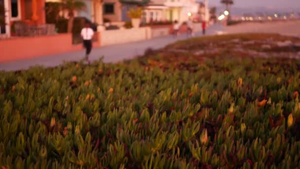 Kalifornische Sommerdämmerung am Strand, rosafarbener Sonnenuntergang über den Wochenendhäusern am Strand. Verschwommene defokussierte Menschen beim Gehen, Strandpromenade in Newport, Pazifik-Badeort in der Nähe von Los Angeles CA USA — Stockvideo