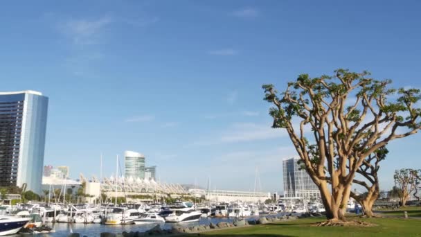 Embarcadero μαρίνα πάρκο, μεγάλα κοραλλιογενή δέντρα κοντά USS Midway και Συνεδριακό Κέντρο, Seaport Village, Σαν Ντιέγκο, Καλιφόρνια ΗΠΑ. Πολυτελή σκάφη αναψυχής και ξενοδοχεία, μητρόπολη αστικό ορίζοντα και ουρανοξύστες highrise — Αρχείο Βίντεο