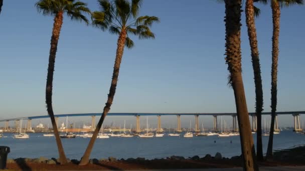 Известный автомобильный мост Коронадо в округе Сан-Диего, Калифорния, США. Яхты класса люкс стоят на якоре в бухте Тихого океана, гавань в американском городе. Транспортная инфраструктура для автомобилей над морем и пальмами — стоковое видео