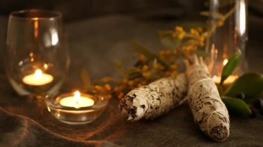 Kurutulmuş beyaz adaçayı lekesi, gevşeme ve aromaterapi. Psişik okült ayin, bitkisel şifa, yoga ya da aura temizliği sırasında lekeler. Esrarengiz ayinler ve fal bakımı için temel tütsü
