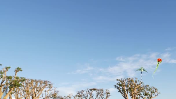 Färgglada drake flyger i blå himmel över träd i Embarcadero Marina park, San Diego, Kalifornien USA. Barn flerfärgad leksak glider mitt i luften i vinden. Barndomens, sommarens och fritidsaktivitetens symbol — Stockvideo