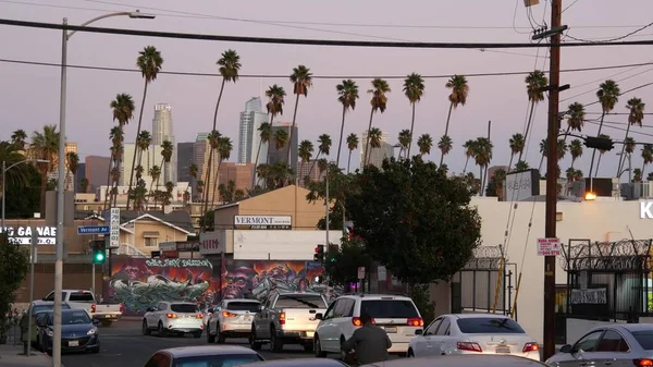 Los Angeles California Eua Out 2019 Linha Horizonte Urbana Palmeiras — Fotografia de Stock