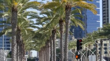 Metropolis şehir silueti, San Diego şehir merkezi, Kaliforniya, ABD. Finans bölgesindeki gökdelenler ön cephede. Çağdaş mimari, gelecekçi modern iş kuleleri Amerika 'da