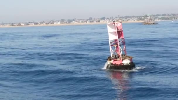 Zeehonden op boei in Stille Oceaan, walvissen spotten in Newport Beach, Californië, USA. Kolonie wilde dieren, zeeleeuwen kudde op drijvend navigatiebaken. Zeezoogdieren rookkerij in natuurlijke habitat — Stockvideo