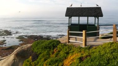 Çatıda martı kuşları var. Ahşap koruluktaki martılar, Pasifik Okyanusu 'nun su sıçratan dalgaları. Balkon kulübesi ve buz bitkisi dik yamaçtaki sulu yeşillik. Vista Point in La Jolla, San Diego, California USA