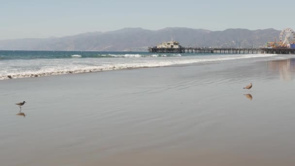 Havsvågor och sandstrand, klassiskt pariserhjul i nöjesparken på piren i Santa Monica pacific ocean resort. Sommar ikoniska vy, symbol för Los Angeles, CA USA. Resebegrepp — Stockvideo