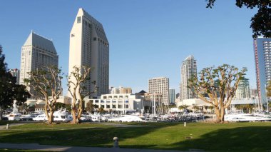 Embarcadero marina parkı, USS Midway ve Convention Center yakınlarındaki büyük mercan ağaçları, Seaport Village, San Diego, California USA. Lüks yatlar ve oteller, metropol şehir silueti ve yükselen gökdelenler.