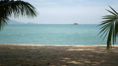 Cennet adasının tropik kumlu plajı. Denize bakan yeşil palmiye yaprağı. Yumuşak odak, fotokopi alanı ve bokeh ile soyut arkaplanı bulanıklaştırır. Seyahat, turizm ve yaz tatili konsepti