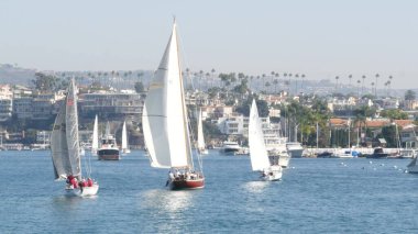 NEWPORT BEACH, CALIFORNIA, ABD - 03 NOV 2019: yat ve yelkenli, Pasifik kıyısı Los Angeles. Denizcilik gemilerinin yelkenli yarışı, limanda yelkenli. Orange County 'de lüks bir banliyö..