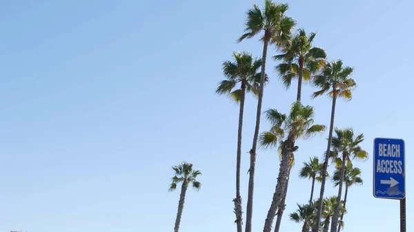 Πινακίδα Και Παλάμες Στην Ηλιόλουστη Καλιφόρνια Ηπα Φοινικόδεντρα Και Παραθαλάσσια — Φωτογραφία Αρχείου