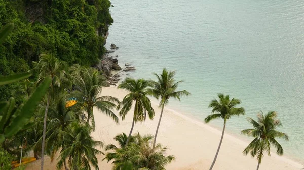 緑のジャングルの近くの穏やかな海 ターコイズブルーの水と穏やかな海 タイのアン トンパラダイス国立公園の白い砂浜の熱帯海岸 熱帯雨林と岩 夢のビーチ リラックスして休暇のコンセプト — ストック写真