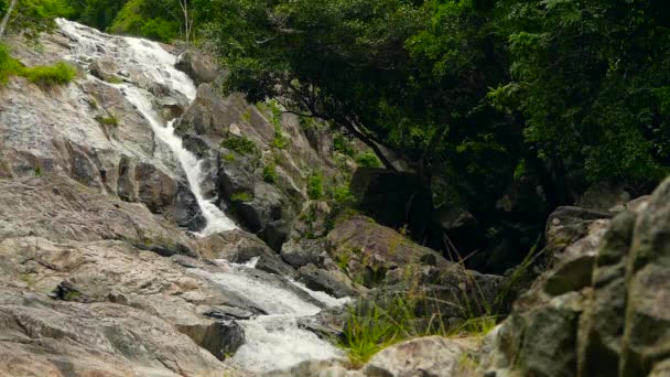 Dağ nehri yağmur ormanlarında akıyor. Bitmek bilmeyen meditasyon videoları, tropikal egzotik orman ormanlarında akış. Dereler taşların arasında, ormanın derinliklerinde akıyor. Şelale şelaleleri, yeşillikler ve ağaçlar. Kusursuz döngü — Stok video